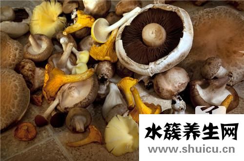 羊肚菌的做法