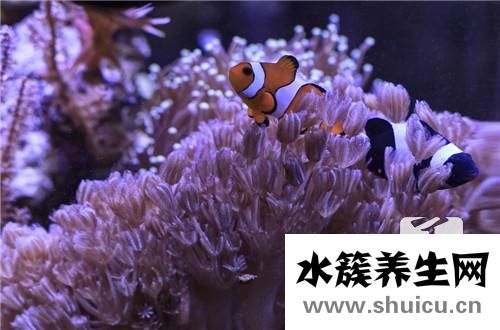 鱼块怎么做好吃又简单