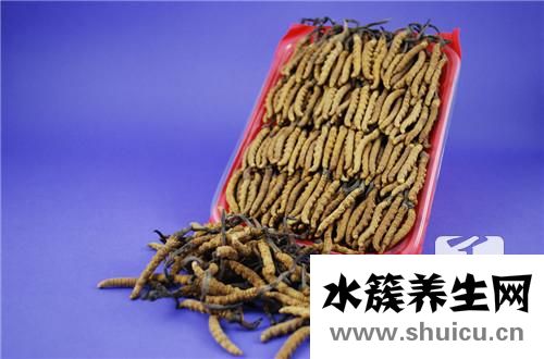 虫草排骨汤