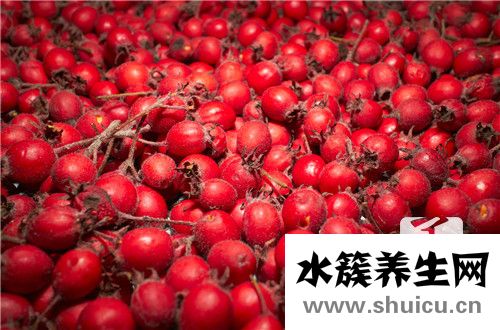 山楂干枸杞泡水的功效
