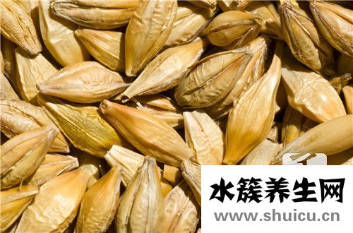 藜麦的做法