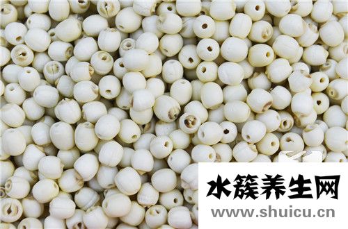 新鲜莲子