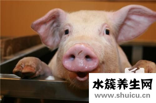 红烧猪脚的家常做法