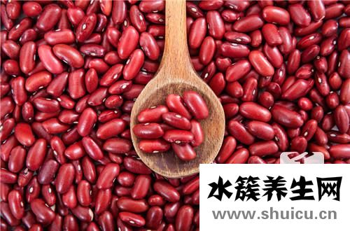 赤豆和红豆的区别