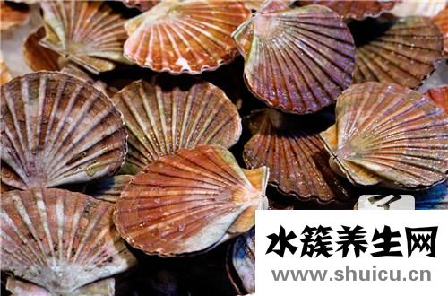 法国菜谱大全