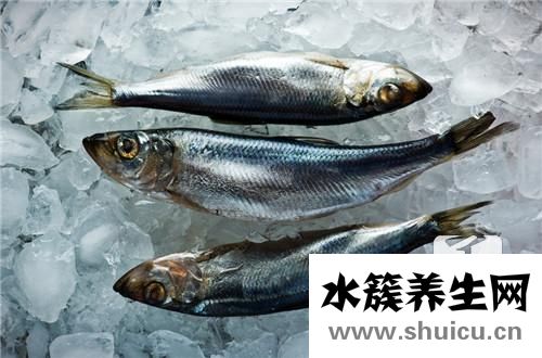 小银鱼