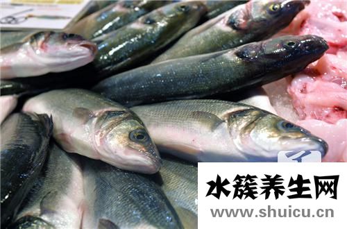小银鱼