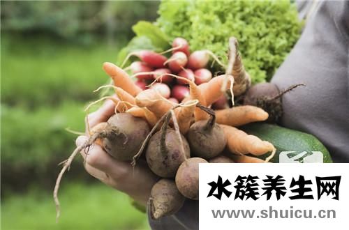 萝卜干怎么做好吃