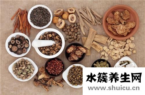 紫菀的功效与作用