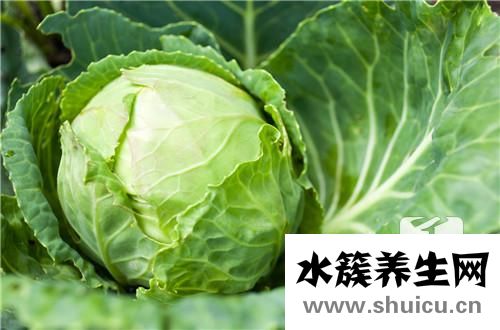 糖醋泡菜