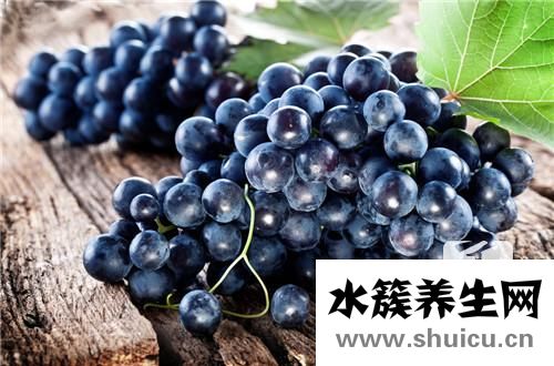 美人指葡萄