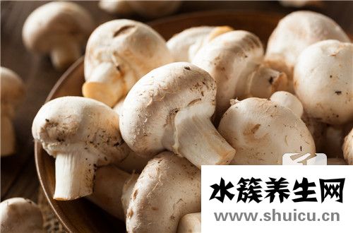 菌子