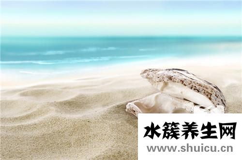 珍珠母的功效与作用