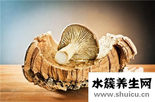 黑牛肝菌