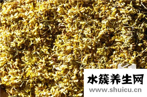 桂花结