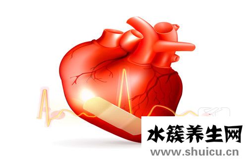 二尖瓣返流