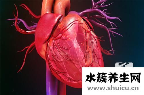 二尖瓣返流
