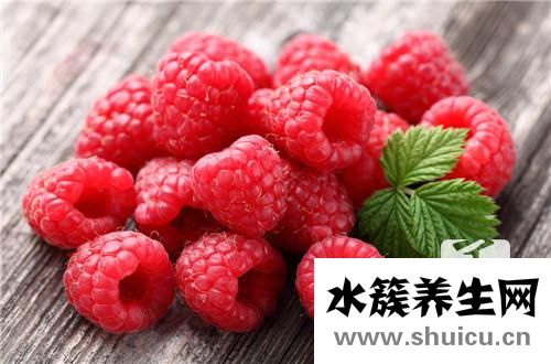 蔓越莓干的功效与作用
