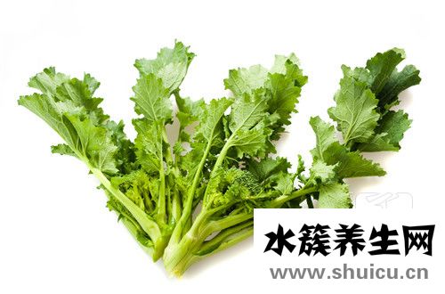 蓝芩