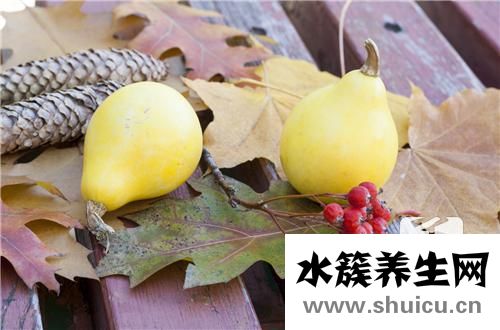 甲壳