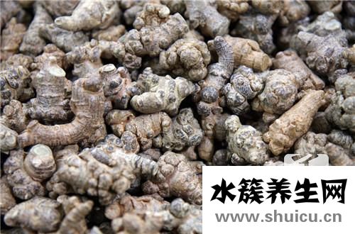 田七与三七有什么区别