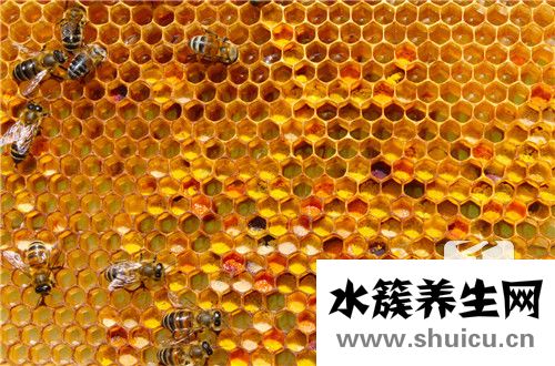 fengjiao