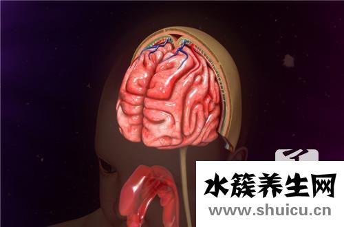 中医治疗脑血栓
