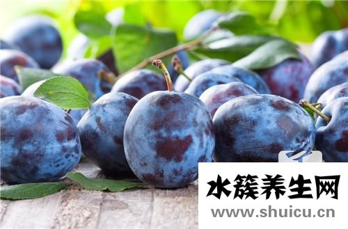 李子的营养价值
