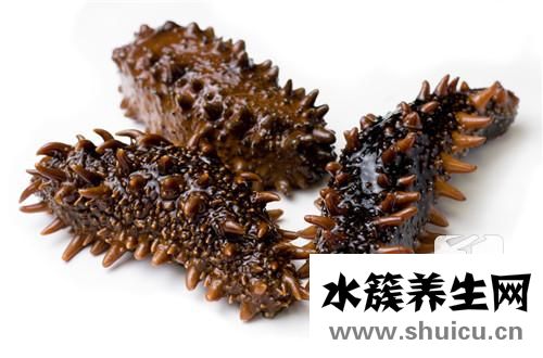 海参泡发方法