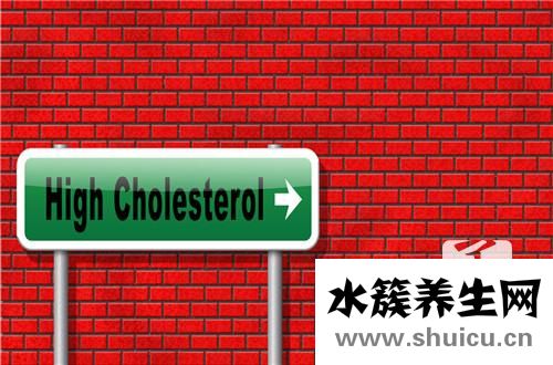 高脂血症是什么