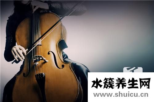 最好学的乐器