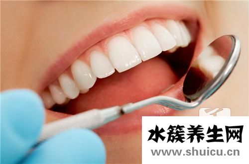 牙齿的名称