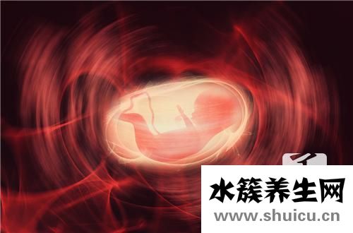 胎盘的功效
