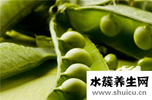 蝶豆花