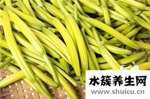 鲜黄花菜的做法