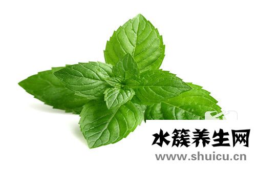 薄荷女性网