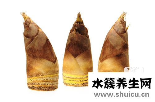 冬笋是什么
