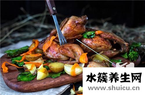 鸽子汤的做法大全