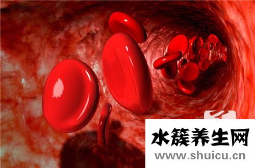牛肚的营养价值