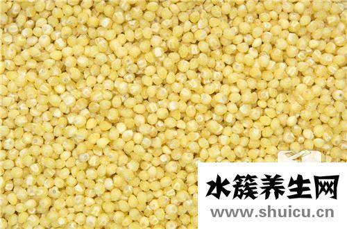 经期能吃薏米吗
