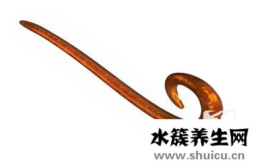 寄生虫的防治