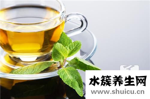 茶叶基础知识