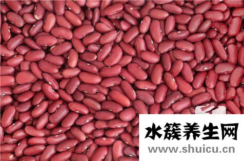 食疗养生网