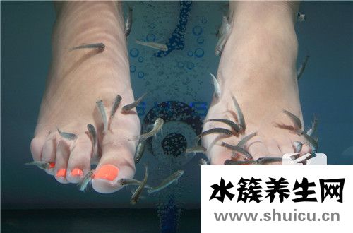 温泉鱼疗