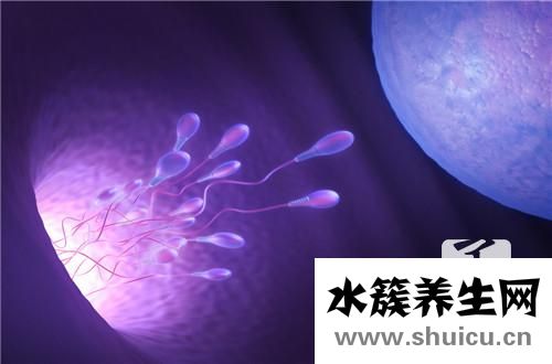 子宫长息肉