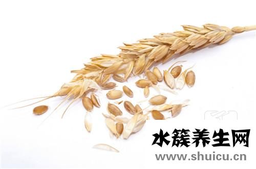 小麦草榨汁机
