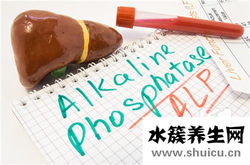 乙肝核心抗体呈阳性