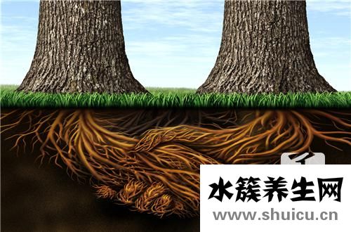 水溶性丙烯酸树脂