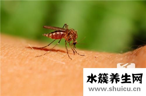 防蚊虫