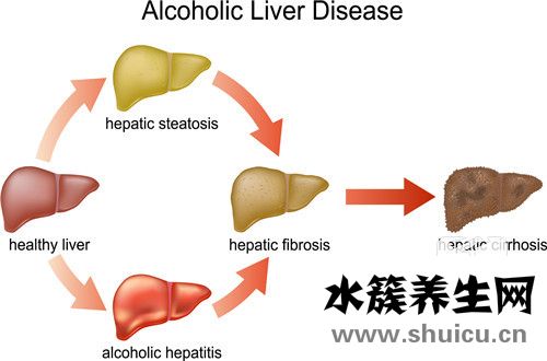谷草谷丙偏高